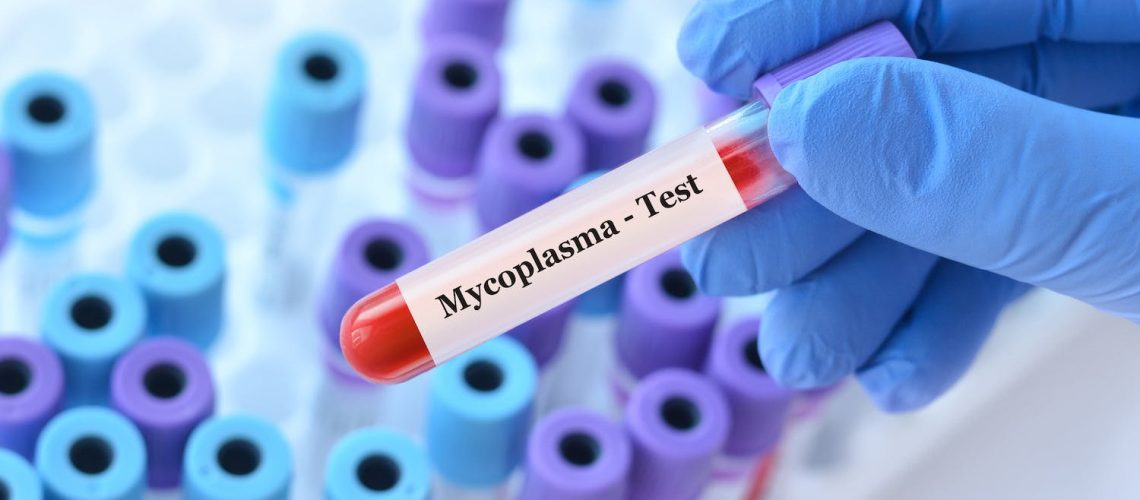 Qu’est-ce qu’une infection à mycoplasme ?