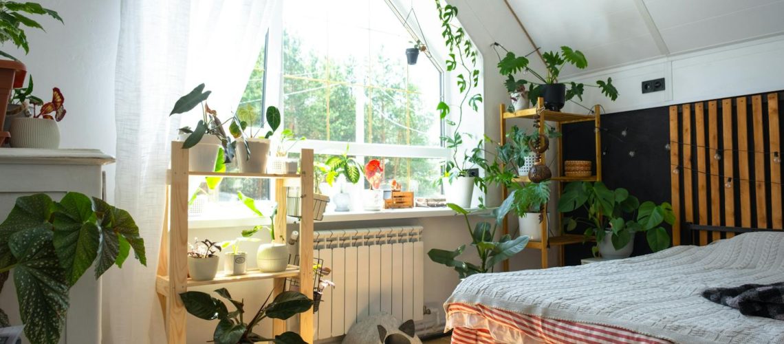 Quelles plantes vertes mettre dans ma chambre pour bien dormir ?